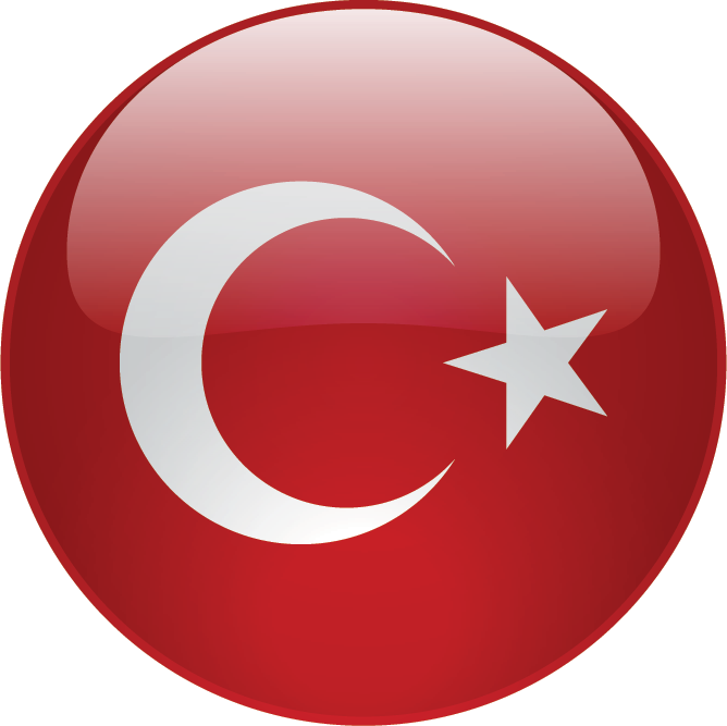 Türkçe